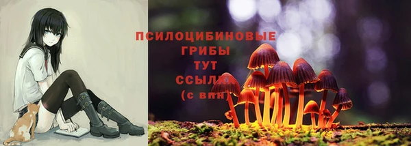спайс Инсар