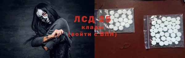 прущие грибы Иннополис