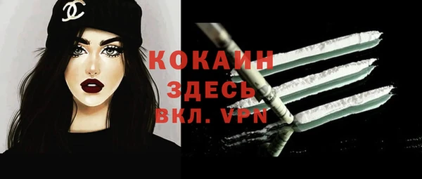 прущие грибы Иннополис