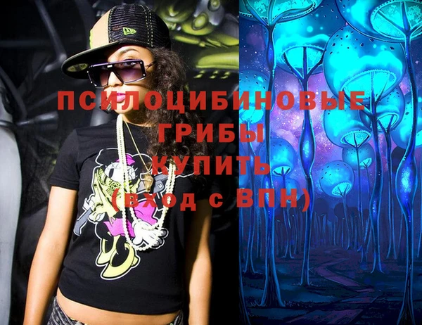 спайс Инсар