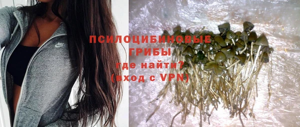 спайс Инсар