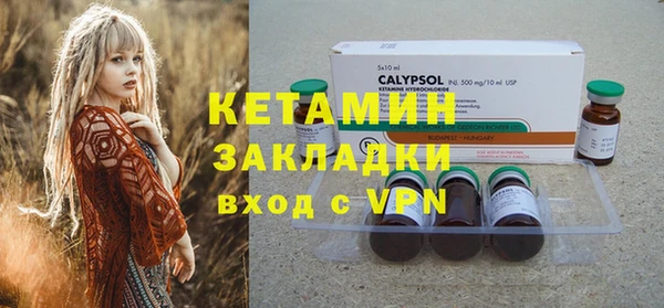 прущие грибы Иннополис
