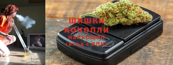 прущие грибы Иннополис