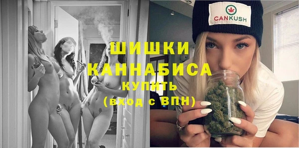 прущие грибы Иннополис