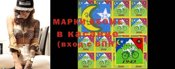 прущие грибы Иннополис