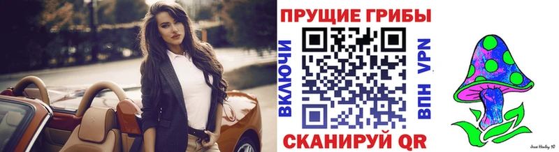 Псилоцибиновые грибы Cubensis  Купить  Южно-Сухокумск 